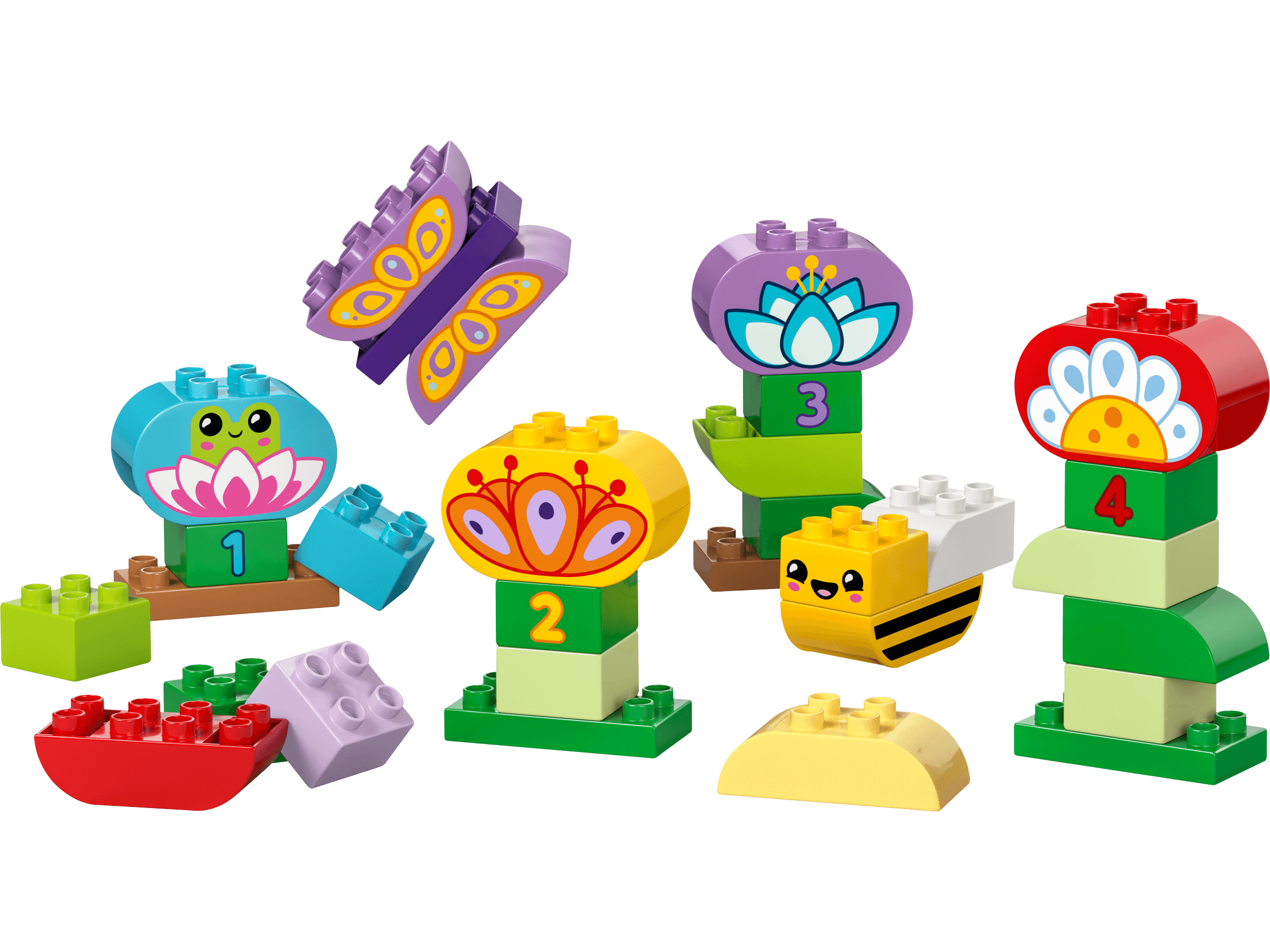 Creative Garden & Flowers