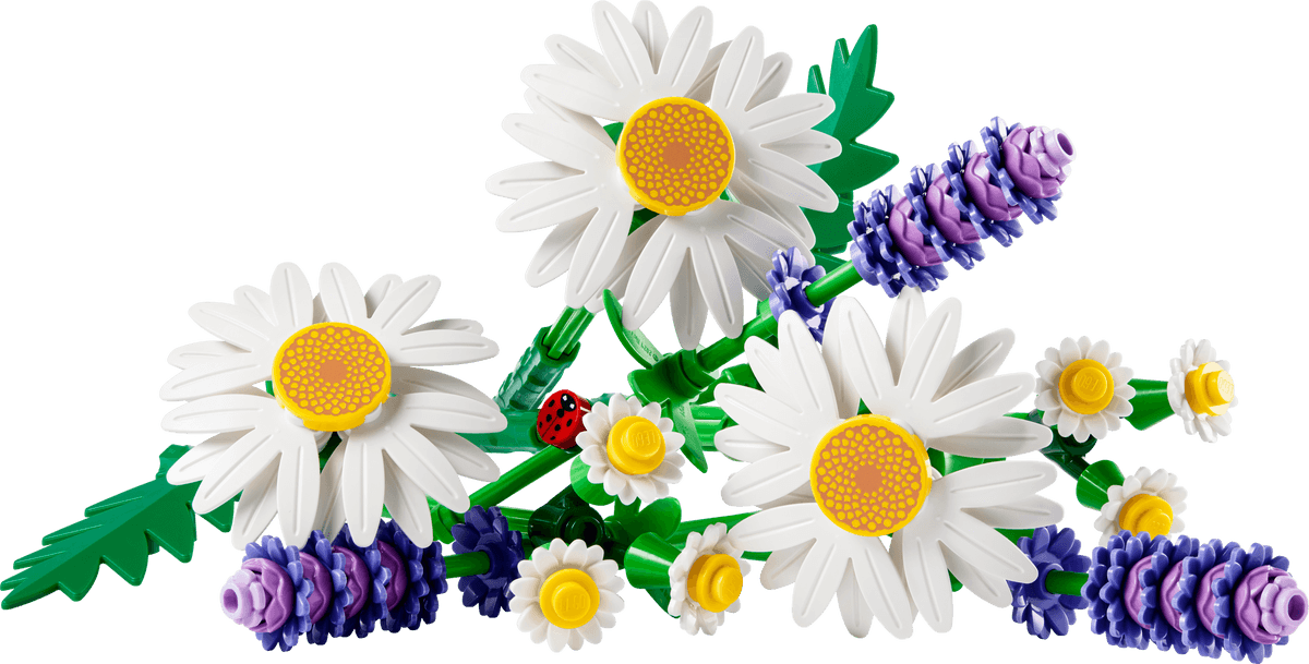 Daisies